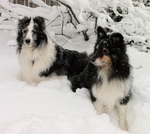 Merlin and Archimedes